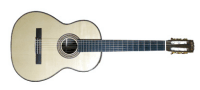 Fylde guitar