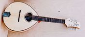Oakwood mandolin