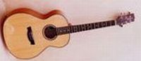 Oakwood guitar